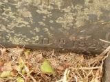 image of grave number 808827